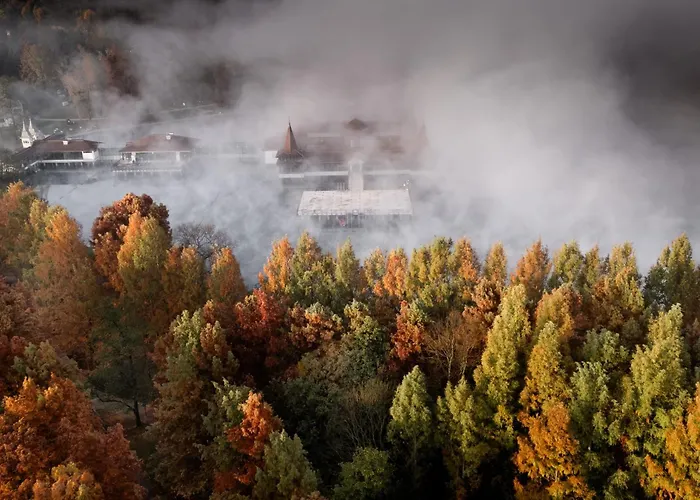 Le Primore & 5* ヘーヴィーズ